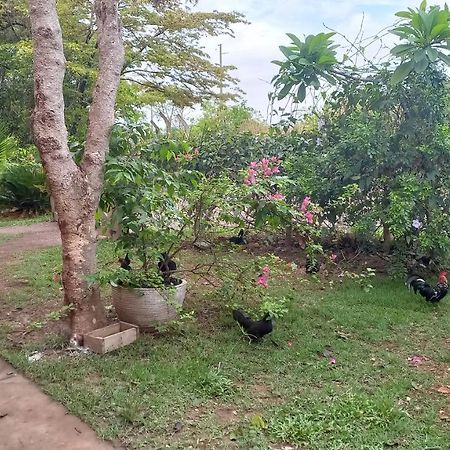Chacara Pousada Sagui Cuiaba  Bagian luar foto